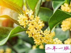 2020立秋发朋友圈说说必点赞 夏天的遗憾会被秋风的温柔化解