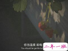 很温暖你内心的温柔句子精辟 写到心窝子里的说说