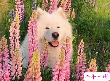 女生微信朋友圈晒图文案 分享日常生活的可爱句子2