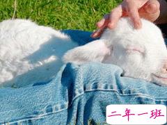 女生微信朋友圈晒图文案 分享日常生活的可爱句子