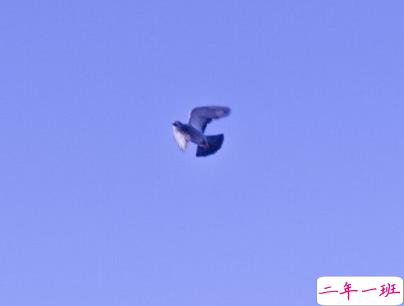 适合多种情绪发的说说 朋友圈万能说说短句1