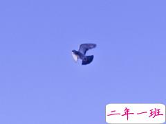 适合多种情绪发的说说 朋友圈万能说说短句