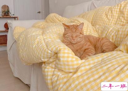 最现实的反鸡汤语录 抖音经典毒鸡汤负能量句子1