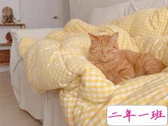 最现实的反鸡汤语录 抖音经典毒鸡汤负能量句子