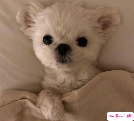 三观很正值得被珍藏起来的温柔句子 双向的奔赴才有意我不说我等你来1