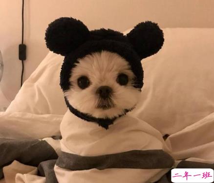 三观很正值得被珍藏起来的温柔句子 双向的奔赴才有意我不说我等你来2