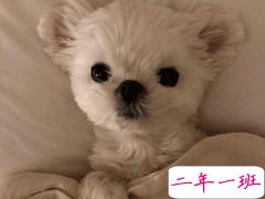 三观很正值得被珍藏起来的温柔句子 双向的奔赴才有意我不说我等你来