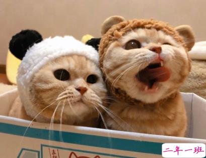 2021让你觉得人间值得的温柔说说 日日又长长感谢所有奇妙相遇1