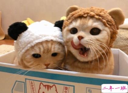 2021让你觉得人间值得的温柔说说 日日又长长感谢所有奇妙相遇2