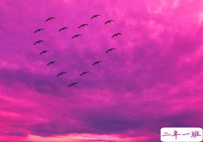 温柔小众的优质文案 ​​​​ 微信小众个性短句2