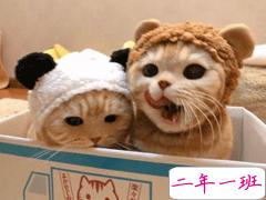 2021让你觉得人间值得的温柔说说 日日又长长感谢所有奇妙相遇