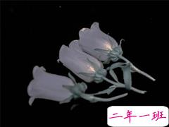 一句话个性说说超吸睛 微博最火简短说说