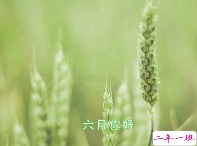 6月说说简单好听2020 告别5月你好6月心情短句1