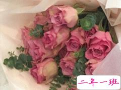 朋友圈文艺说说阳光 文艺个性小短句合集