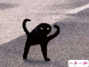 简短霸气的怼人句子 越骂越爽的句子十分精辟1