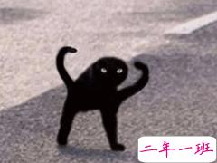 简短霸气的怼人句子 越骂越爽的句子十分精辟