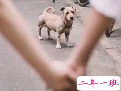 520微信说说简短个性 2020抖音最火520说说精选