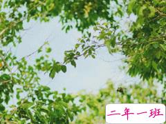 微信个性说说短句 女生说说独一无二