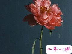 旅行时发的文艺简短句子 孤独的人有他们自己的沼泽