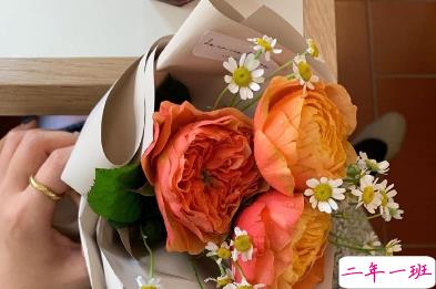 2020霜降节气有趣问候语 祝你美丽心情亮2