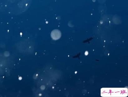 抖音神仙宝藏文案 五月说说精致个性句子20202