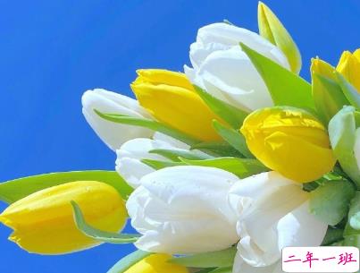 适合一直置顶的个性句子 朋友圈最红句子很特别1