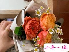 2020霜降节气有趣问候语 祝你美丽心情亮