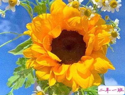 适合一直置顶的个性句子 朋友圈最红句子很特别2