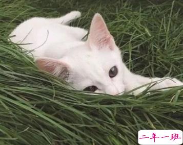 微信最火个性说说吸引人 一眼就被吸引的短句合集2