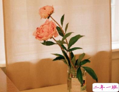 十一中秋遇到国庆的说说 国安所以家圆1