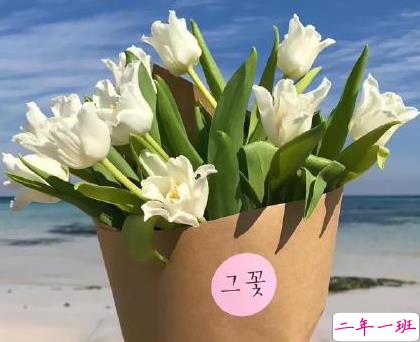 早上好朋友圈很吸引人的说说 早安短句调皮有个性1