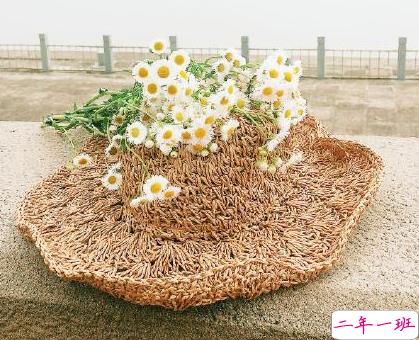 早上好朋友圈很吸引人的说说 早安短句调皮有个性2