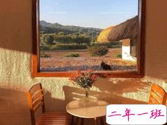 很走心的治愈小短句 别光为情所困用心活一活