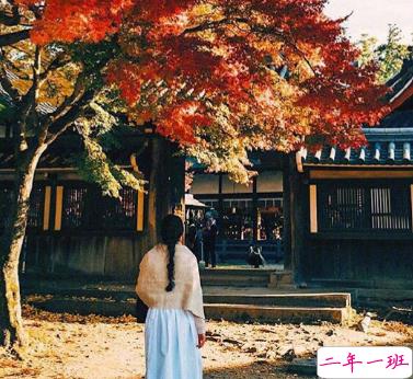 最新秋季唯美诗意文艺个性说说 可以去追逐星星但做自己的太阳 ​​​​1