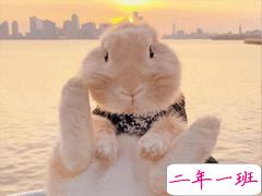 个性唯美温暖简短一句话说说 着迷长夜繁星的欢喜