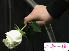 抖音霸气小短句 圈子虽小干净就好