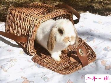 朋友圈文案个性短句 很有意思的微信说说1