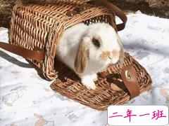 朋友圈文案个性短句 很有意思的微信说说