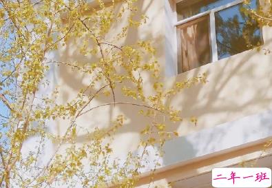 十分暖心的早安祝福说说 2021早安最句子2