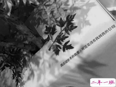 黑鸡汤负能量语录 很丧很颓废的心情短语1