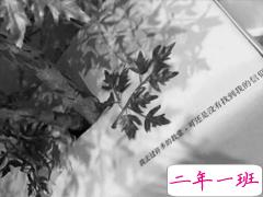 黑鸡汤负能量语录 很丧很颓废的心情短语