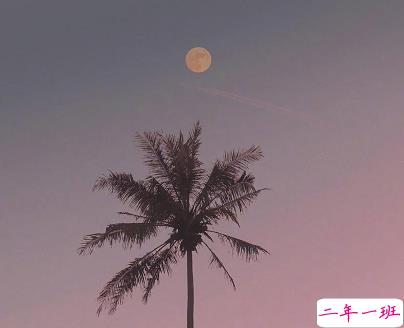 最走心的经典句子句句精辟2021 喜欢什么就要付出努力去争取2