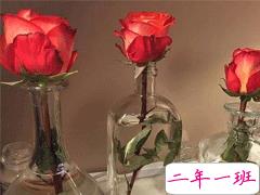 毕业季可作毕业赠言文案 希望你好平安最好