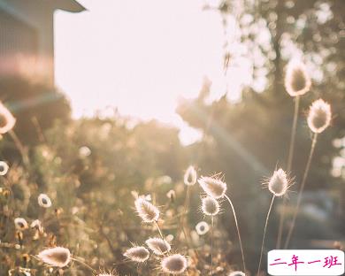 30句很走心的干净短句早安励志 要想有所得就要有所戒1