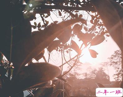 30句很走心的干净短句早安励志 要想有所得就要有所戒2