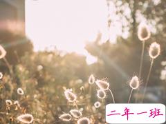 30句很走心的干净短句早安励志 要想有所得就要有所戒