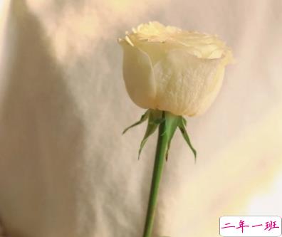 中秋和国庆在一起的文案 龙腾盛世月满乾坤1