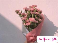 适合发朋友圈的精美句子 罕见又有个性的说说