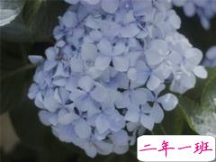 妇女节写给妈妈的话 2020妇女节说说温暖治愈