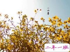 小暑节气祝福语大全 2020小暑经典句子说说